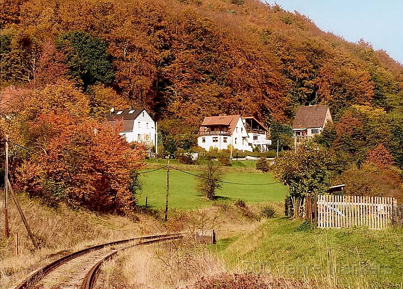 Merkers_heute_05.jpg - der Arnsberg im Herbst, alte Feldabahn